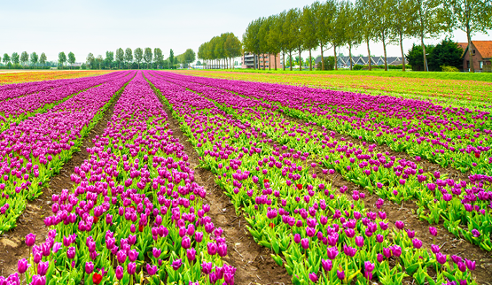 Vakantiehuis thema Vakantiehuis april